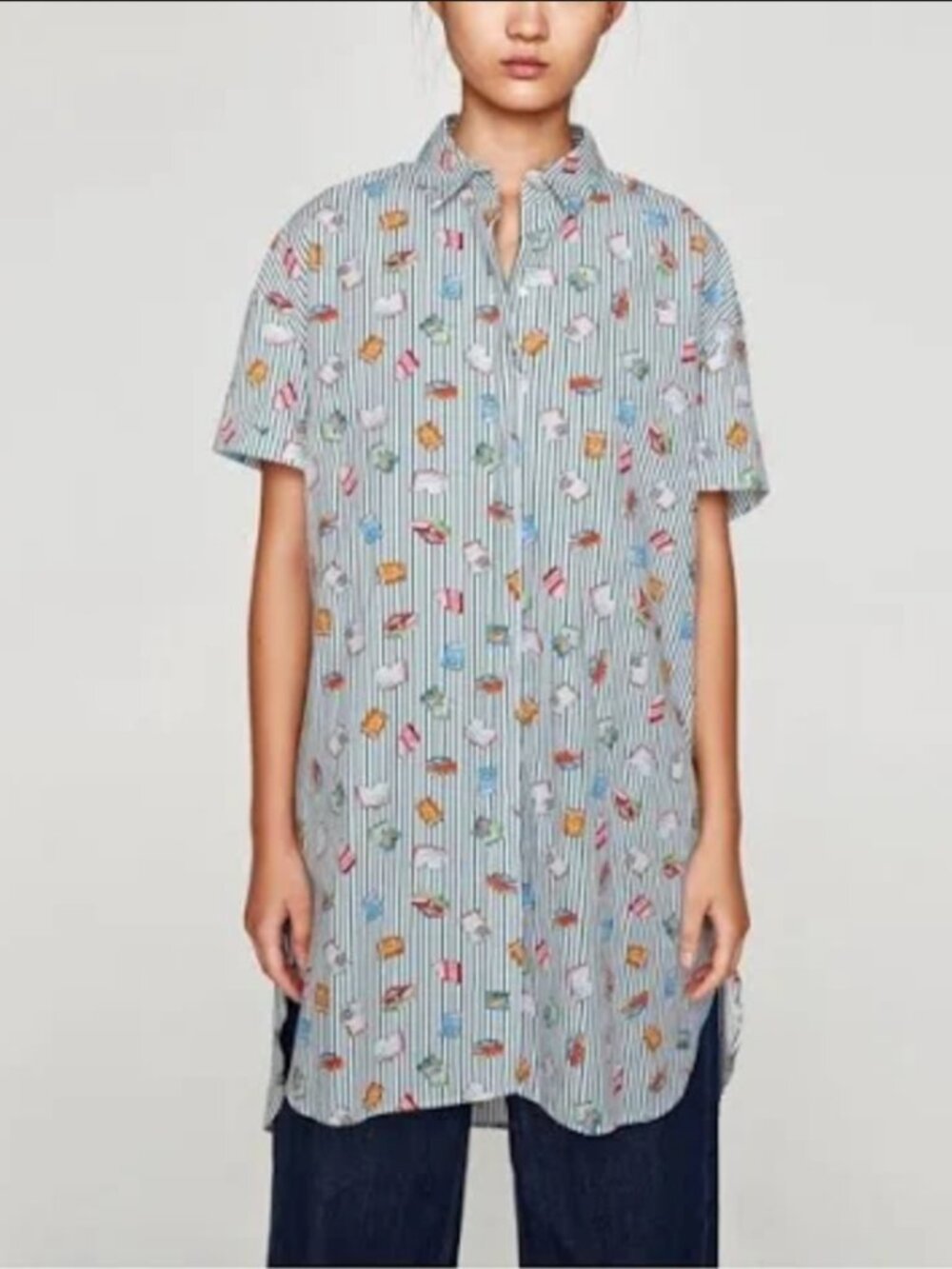 Zara Books shirt dress